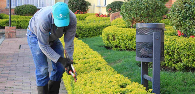 Personal de aseo de Misión Servir arregla zonas verdes en conjunto residencial